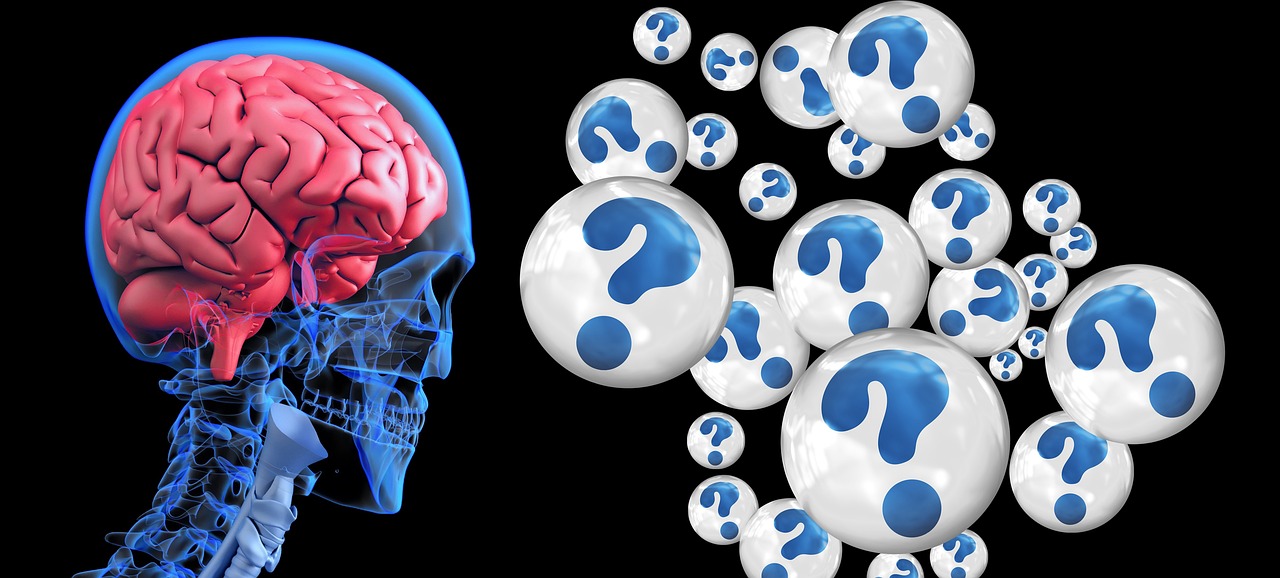 brain, question mark, alzheimer's, dementia, robot, cyborg, android, robotics, future, artificial intelligence, blue, silver, isolated, sci fi, science fiction, fit, face, view, profile, digitization, zero, one, pay, internet, www, numbering system, security, binary system, computer, network, digital, data transfer, social network, brain, brain, brain, brain, brain