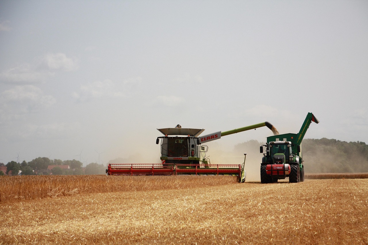 harvest, agriculture, summer, grain, tractor, farmer, nature, fields, combine harvester, farm, harvest, harvest, harvest, agriculture, agriculture, agriculture, tractor, tractor, tractor, tractor, tractor