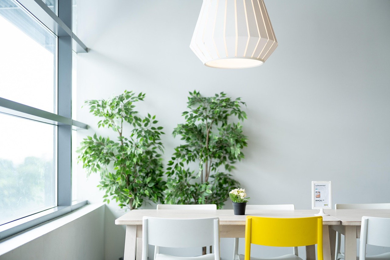 ikea, table, dining, chair, nature, lamp, plant, natural, lifestyle, life, live, living, room, restaurant, simple, white