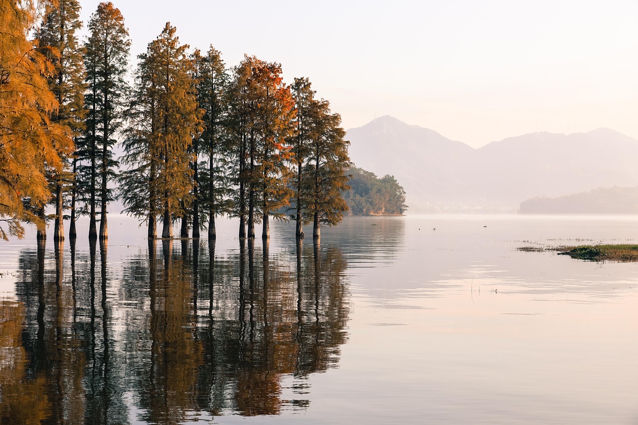 lake, forest, nature, landscape, water, river, mountains, trees, scenery, outdoors, woods, sky, clouds, scenic, reflection, sun, park, pond, canada, switzerland, finland, country, europe, asia, autumn, forest, river, river, river, river, river, scenery, pond, canada, canada, switzerland, finland, finland, finland, country, autumn, autumn, China, Zhejiang, Ningbo